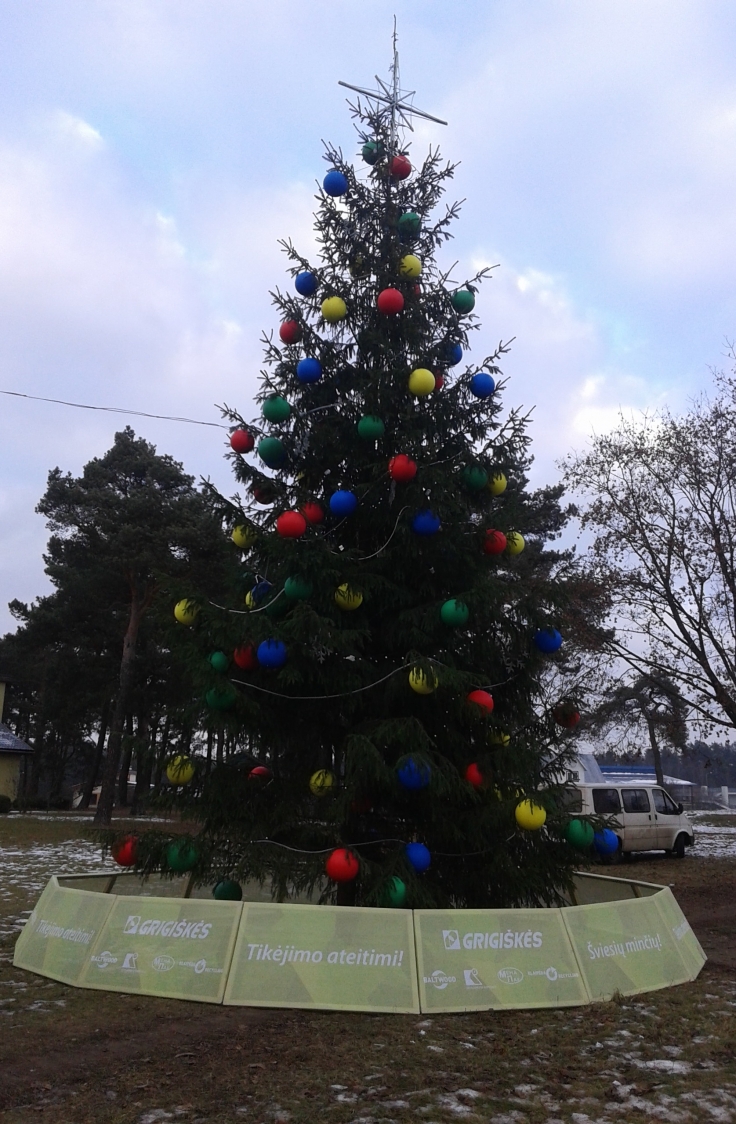 UAB “Baltwood” dovana - Kalėdų eglė Grigiškių miesteliui